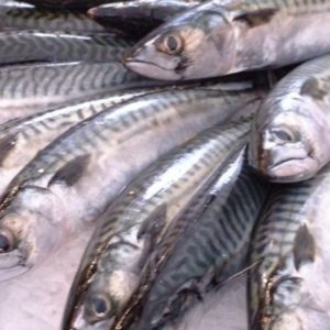 Lire la suite à propos de l’article Supprimer l’odeur forte du poisson lors de sa cuisson